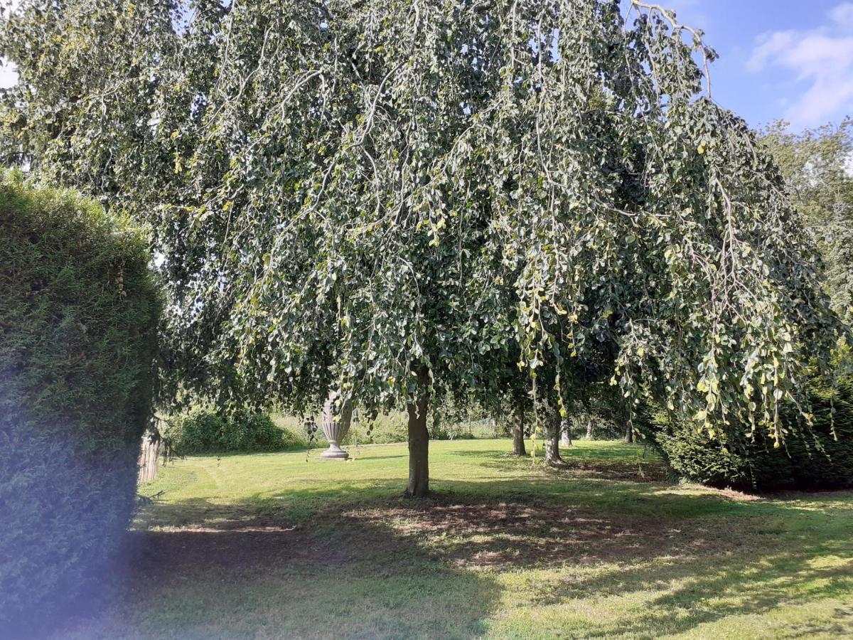 Bed and Breakfast Manoir De Camblain Esterno foto